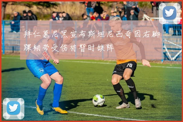 拜仁慕尼黑宣布斯坦尼西奇因右脚踝韧带受伤将暂时缺阵