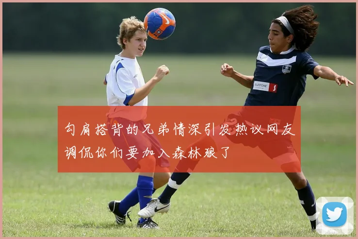 勾肩搭背的兄弟情深引发热议网友调侃你们要加入森林狼了
