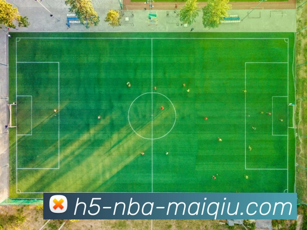 App Interface Preview