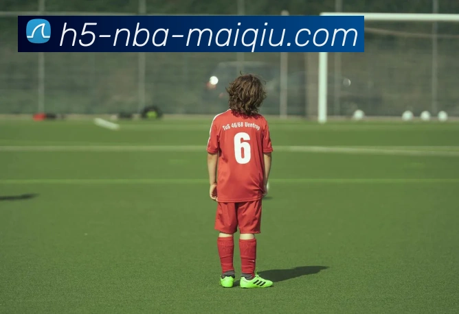 数据防护可视化